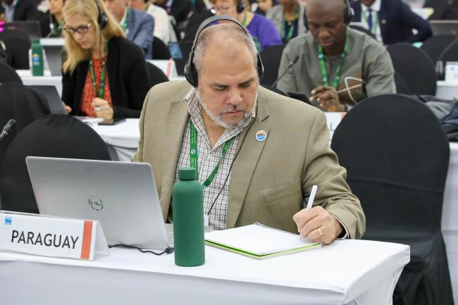 David Elias Fariña Gómez, Paraguay 