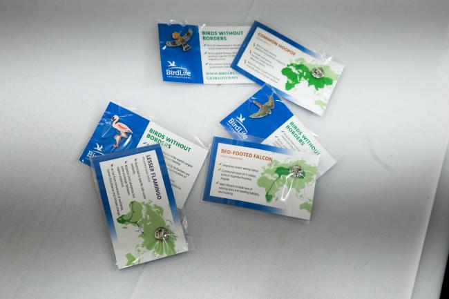 BirdLife International Pins