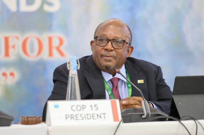 Tadeous Chifamba, COP15 Alternate President, Zimbabwe 