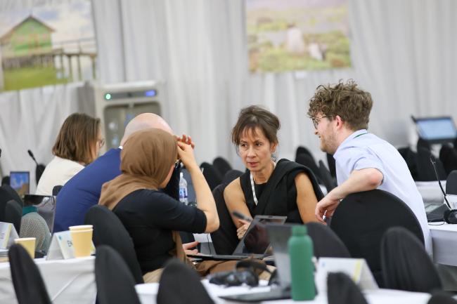 Between Sessions 10 - Wetlands Convention - 30Jul25 - Photo