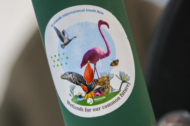 Wetlands for our common future
