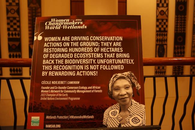 Women Changemakers in the World of Wetlands 