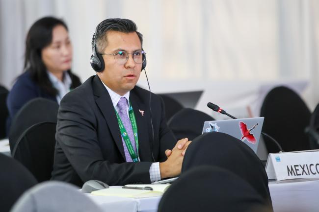 Jaime Esteban González Barrera, Mexico