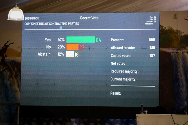 Delegates cast their vote to determine whether to proceed with roll-call or secret votes. 
