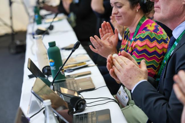 Delegates applaud the closing of the COP15 plenary. 
