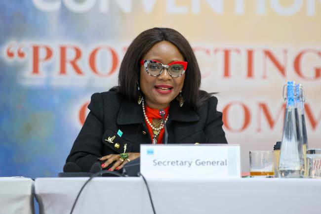 Musonda Mumba, Secretary General, Convention on Wetlands 