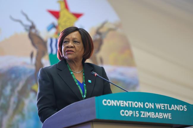 Evelyn Ndlovu, Minister of Environment, Water and Climate, Zimbabwe, and COP15 President 