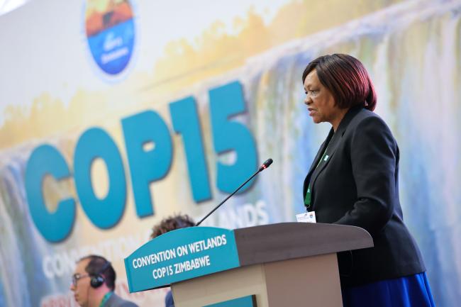 Evelyn Ndlovu, Minister of Environment, Water and Climate, Zimbabwe, and COP15 President 