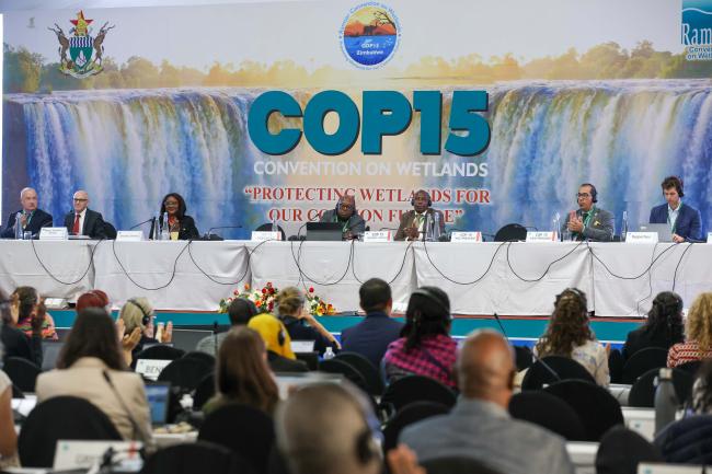 A view of the panel during the closing of the COP15 plenary