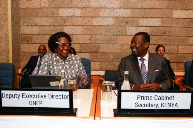 Elizabeth Maruma Mrema, UNEP and Wycliffe Musalia Mudavadi, Prime Cabinet Secretary, Kenya_AMCEN20_16Jul25_photo.jpg