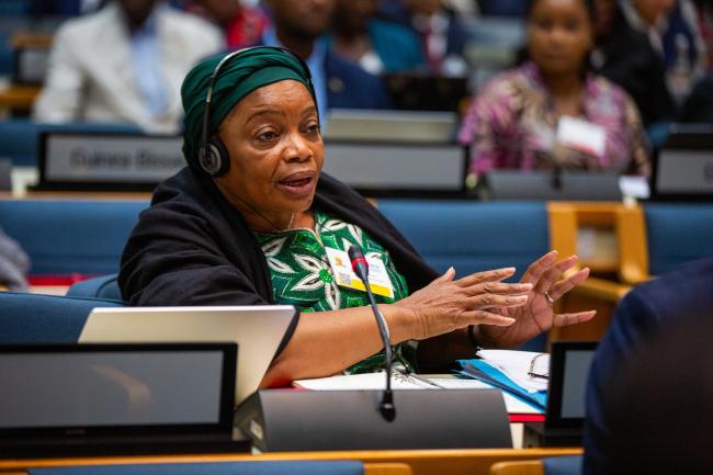 Eve Bazaiba Masudi, Democratic Repubic of the Congo AMCEN20_16Jul25_photo.jpg