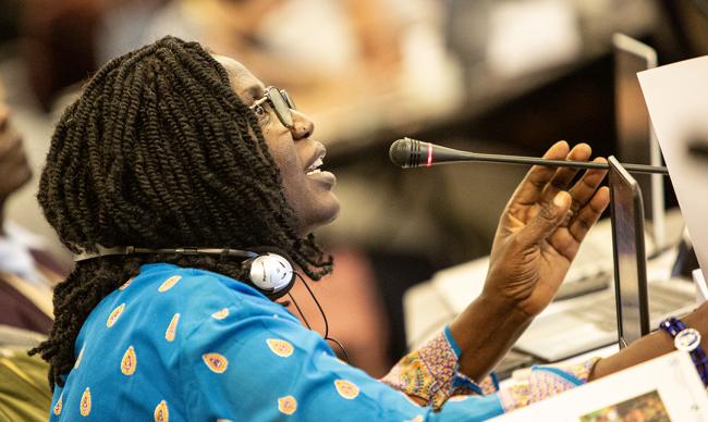 Gertrude Ngo Bahoya Mbom, Africa - ITPGRFA_OEWG14 - 11Jul2025 - ITPGRFA_OEWG14 - 11Jul2025