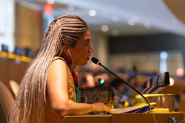 Emilia Reyes, Programme Director, Policies and Budgets for Equality and sustainable Development, Equidad de Género: Ciudadanía, Trabajo y Familia