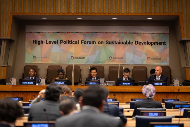 Delegates gather to discuss progress made on SDG 3 (health and well-being)