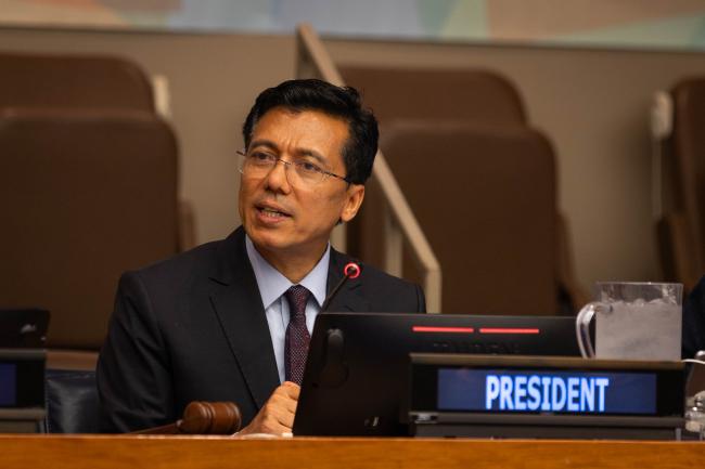 Lok Bahadur Thapa, Vice-President, ECOSOC