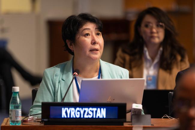 Dinara Kemelova, Special Representative of the President, Kyrgyzstan