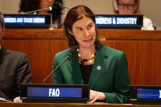 Angélica Jácome, Food and Agricultural Organization of the UN (FAO)