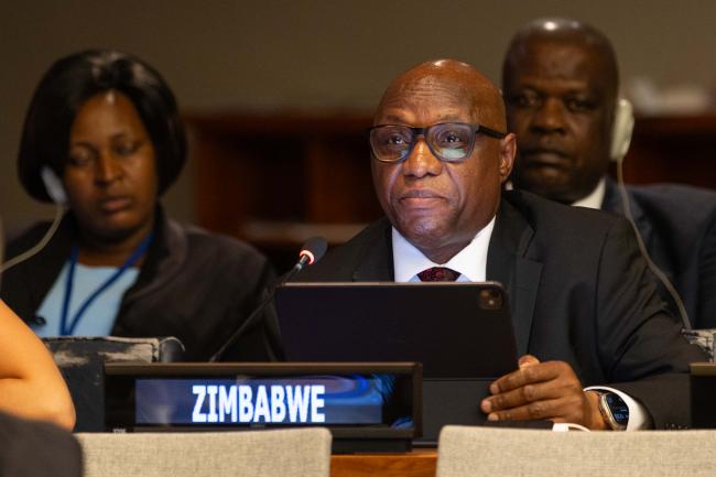 Taonga Mushayavanhu, Permanent Representative of Zimbabwe to the UN