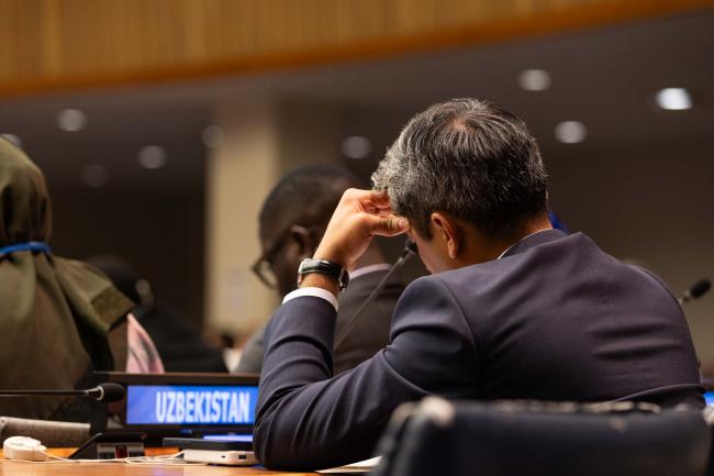 Delegates listen to the interventions