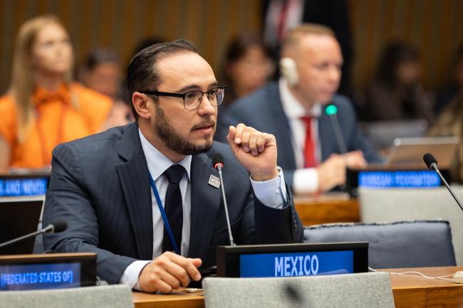 Héctor Ochoa, Mexico