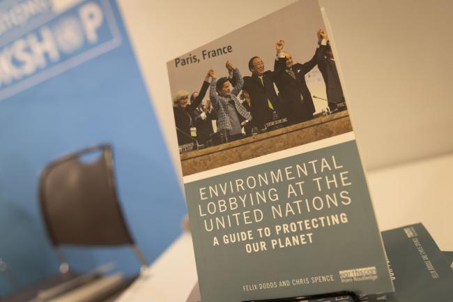 Environmental lobbying at the UN