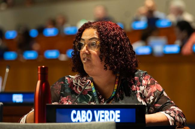 Tania Romualdo, Plenipotentiary Permanent Representative of Cabo Verde to the UN
