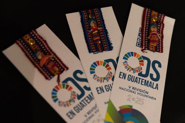 Guatemala's VNR