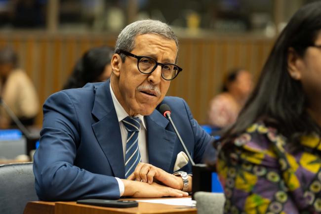 Omar Hilale, Permanent Representative of Morocco to the UN