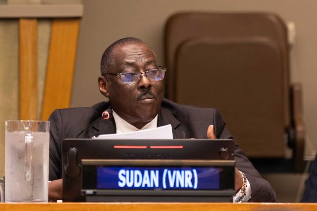 Mohamed Bashar Mohamed, Undersecretary of Planning, Ministry of Finance and Economic Planning, Sudan