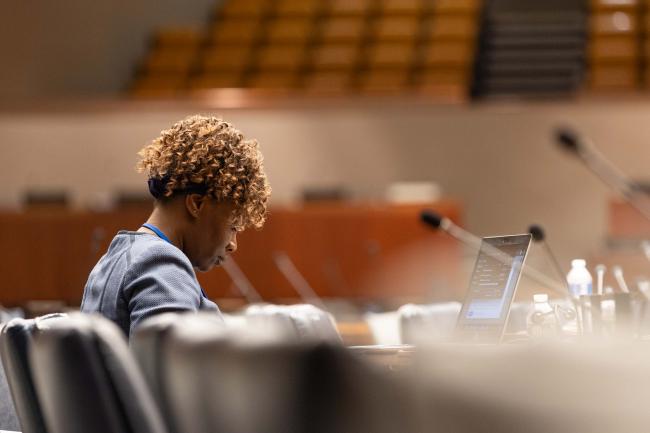 Delegate in session 