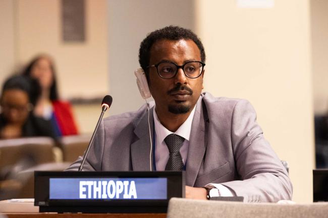 Bereket Fesehatsion Tesfamariam, Ethiopia