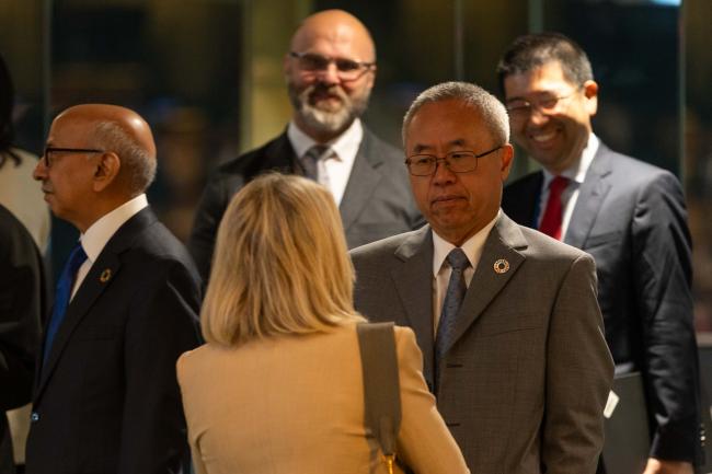 Li Junhua, UN Under-Secretary General for Economic and Social Affairs