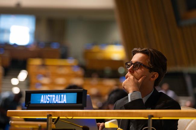 Delegates listen to the interventions