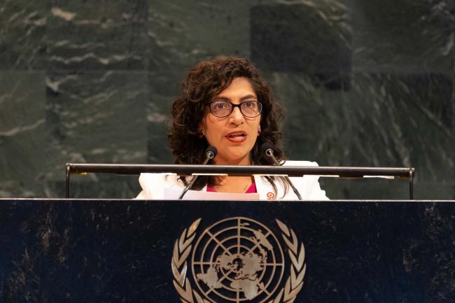 Leslie Urteaga, Minister of Development and Social Inclusion, Peru