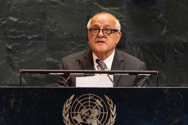 Riyad Mansour, Permanent Representative of Palestine to the UN