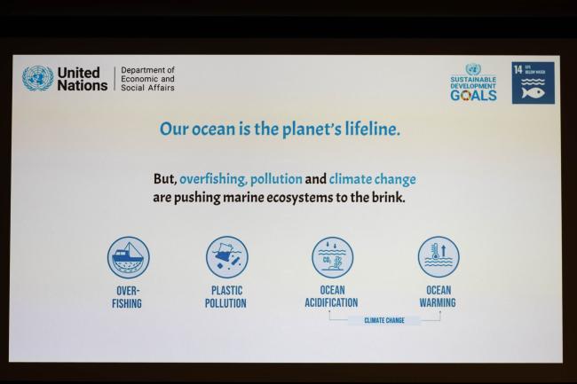 To begin discussions on SDG 14, a slide highlights how vital the Ocean is to humanity's survival
