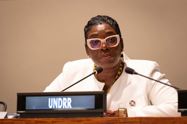Toni-Shae Freckleton, UN Office for Disaster Risk Reduction (DRR)