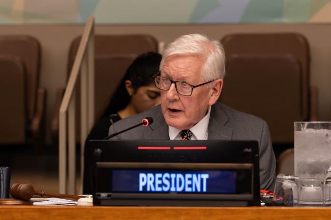 Bob Rae, President, ECOSOC