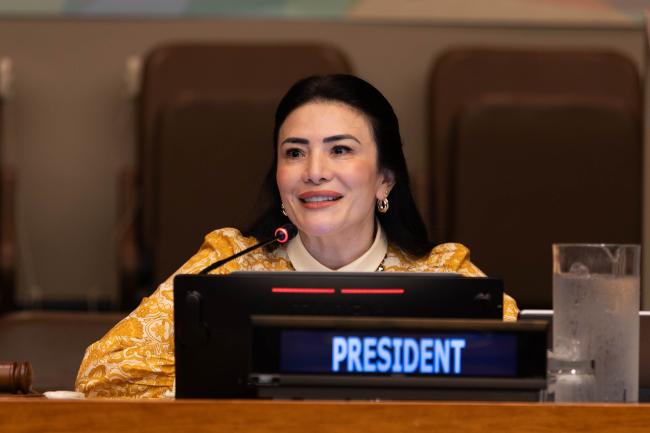 Maritza Chan, Vice-President, ECOSOC
