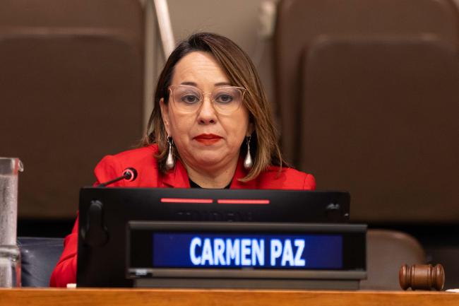 Carmen Paz, Mayor of San Nicolás, Honduras