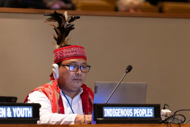 Indigenous representative