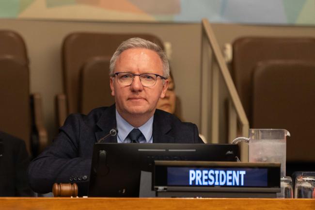 Krzysztof Szczerski, Vice-President, ECOSOC