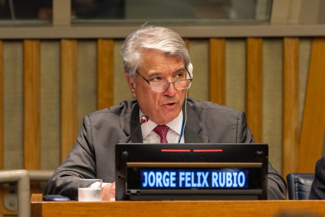 Jorge Felix Rubio, Director-General for Economic Affairs, Ministry of Foreign Affairs, Peru, and Chair, Latin America and Caribbean Regional Forum on Sustainable Development