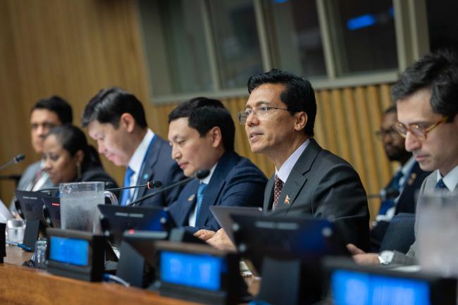 Lok Bahadur Thapa, Vice-President, ECOSOC