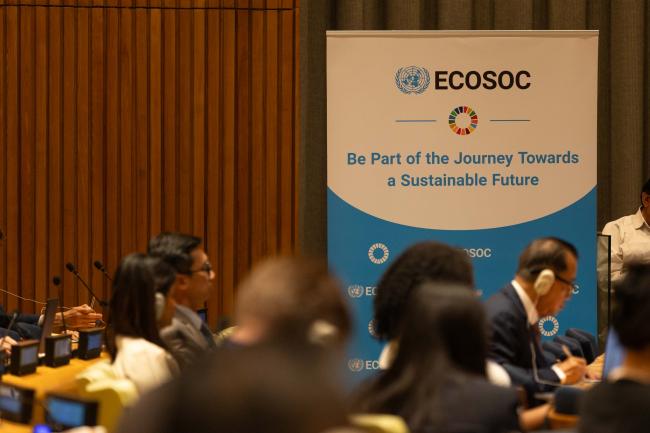 ECOSOC sign