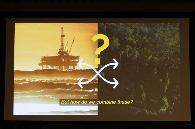 Suriname's VNR highlights the challenge of protecting natural forests while also exploring oil and gas opportunities