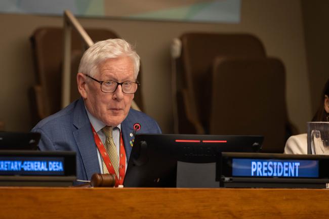 Bob Rae, President, ECOSOC