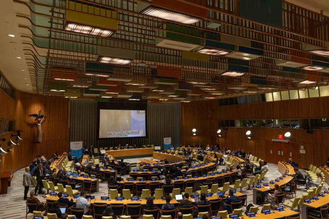 The General Debate continues in the Trusteeship Council
