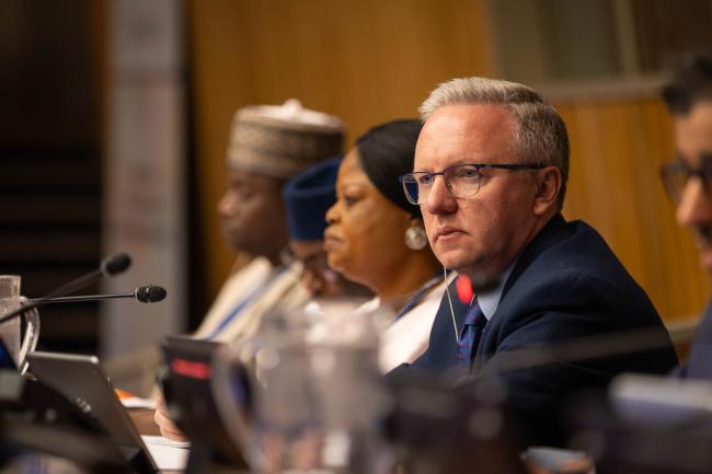 Krzysztof Szczerski, Vice-President, ECOSOC