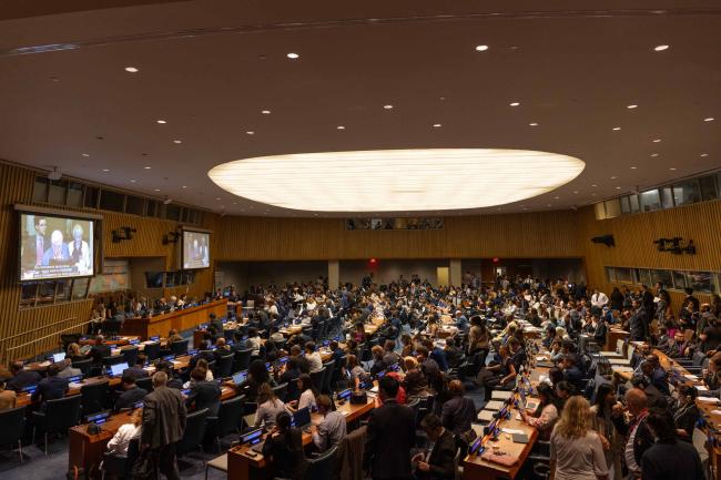 Delegates gather for the closing plenary of HLPF 2025